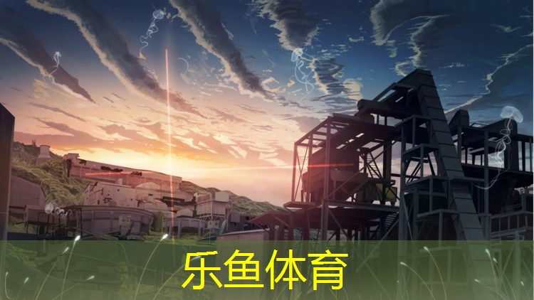 <strong>乐鱼体育,学校塑胶跑道施工图例</strong>